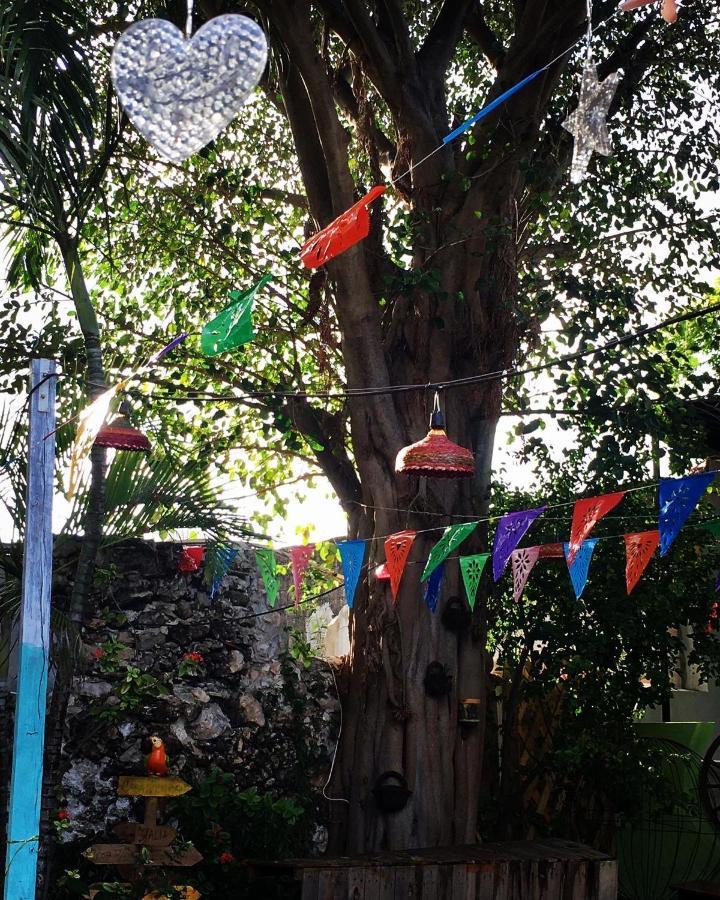La Casa De La 12 Ostello Campeche Esterno foto